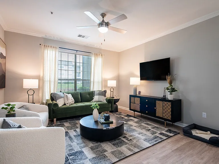 Newly Renovated Living Room