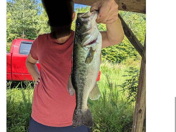 5th image of 1089 Leonard Hall Rd