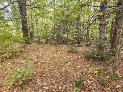 Lot #82 Seboeis Road, Howland, ME, 04448