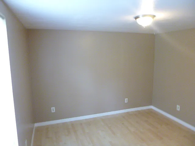 6616 Mangrove Dr — Photo 14