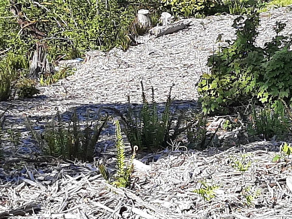 2nd image of 221 NE WJ Way