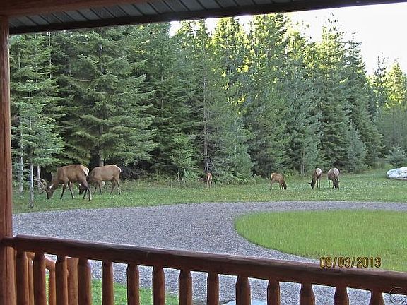 3rd image of 29 Elk Meadow Ln