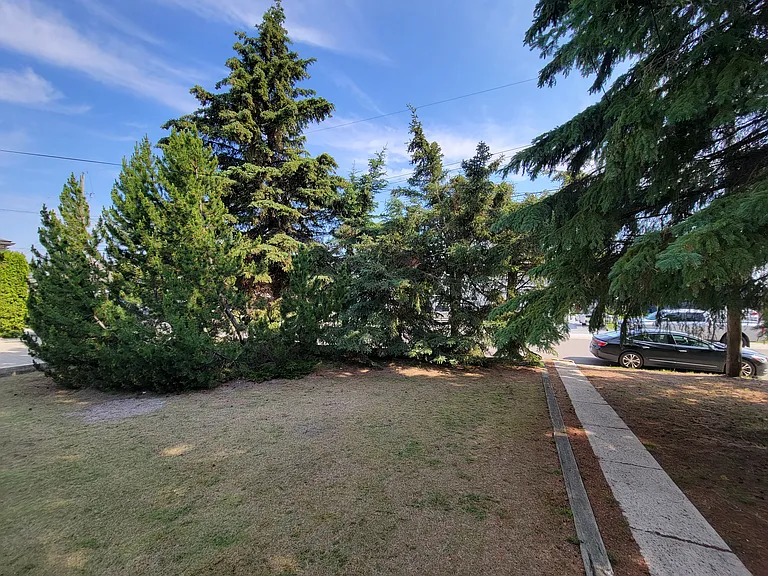 221 Birch Ave — Photo 3