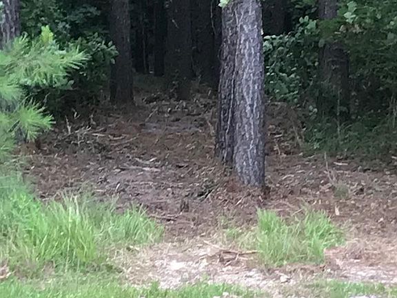 3rd image of 316 Riversound Drive LOT 221