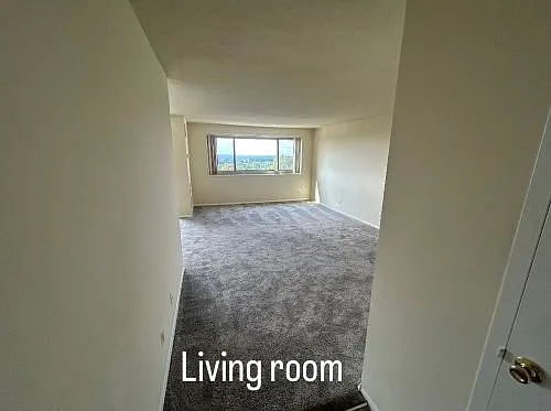 9727 Mount Pisgah Rd — Photo 152