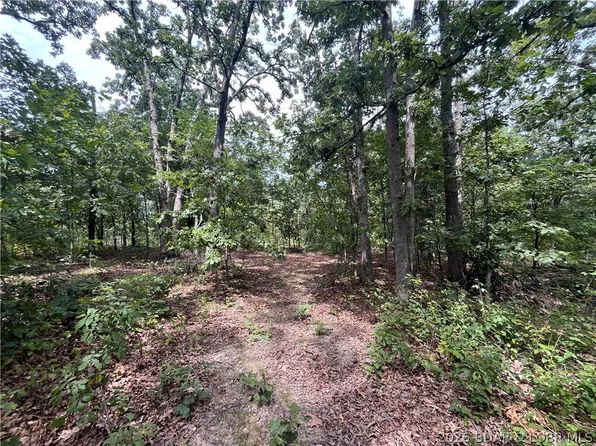 Partridge Dr, Climax Springs, MO 65324