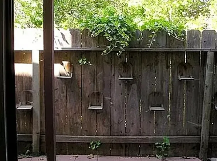 71 Village Circle Dr — Photo 15