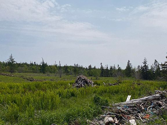 3rd image of LOT 8B Shore Rd W