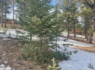 203 Neal St, Bailey, CO 80421