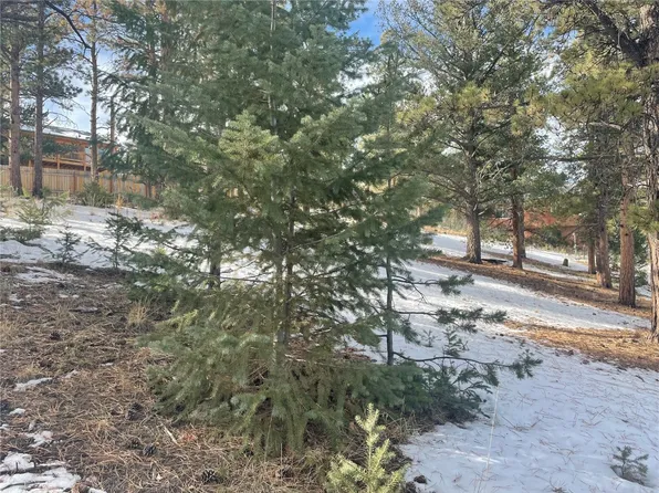 203 Neal St, Bailey, CO 80421