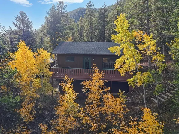 225 Renaud Road, Bailey, CO 80421