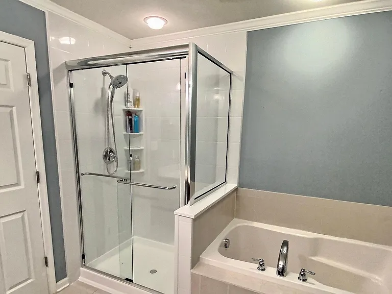 Master bath with stand up shower and separate tub