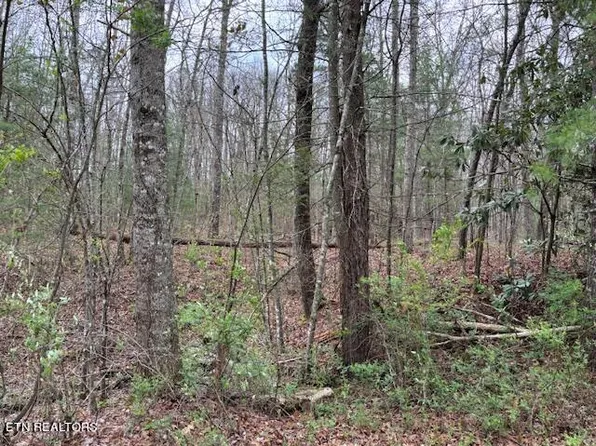 LOT 19 Bear Rd, Tallassee, TN 37878