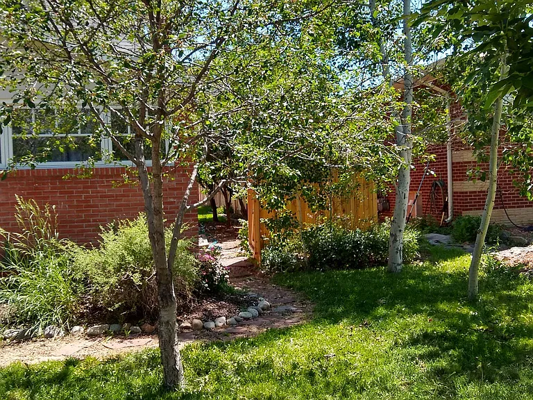 Front yard