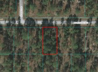 0 NW Hillsdale Ave, Dunnellon, FL 34431