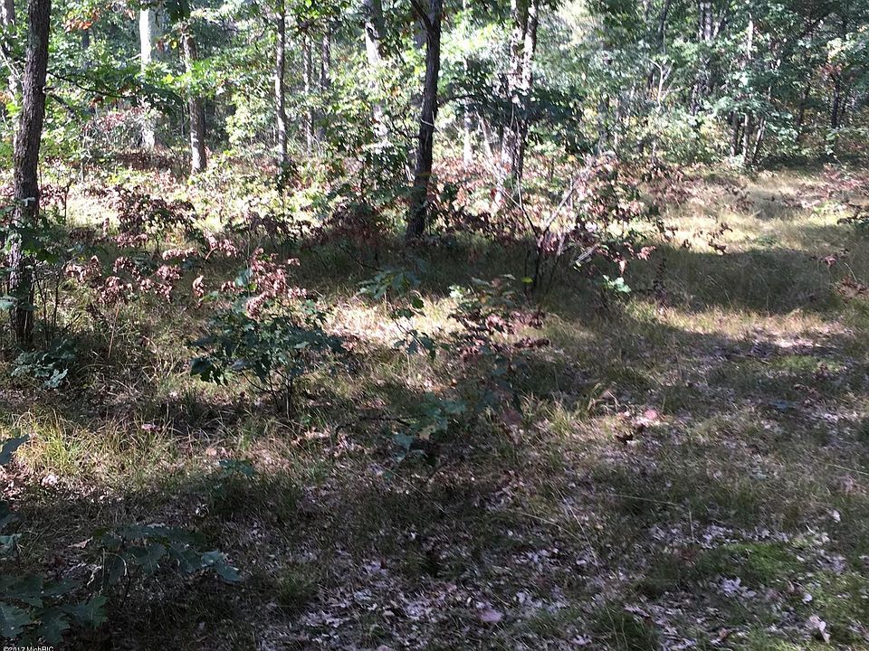 2nd image of 11 1/2 Mile Rd