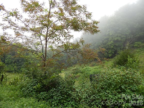 3rd image of 0 Henry Rd