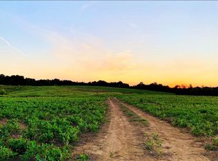 907 Moore Hollow Rd, Indian Mound, TN 37079