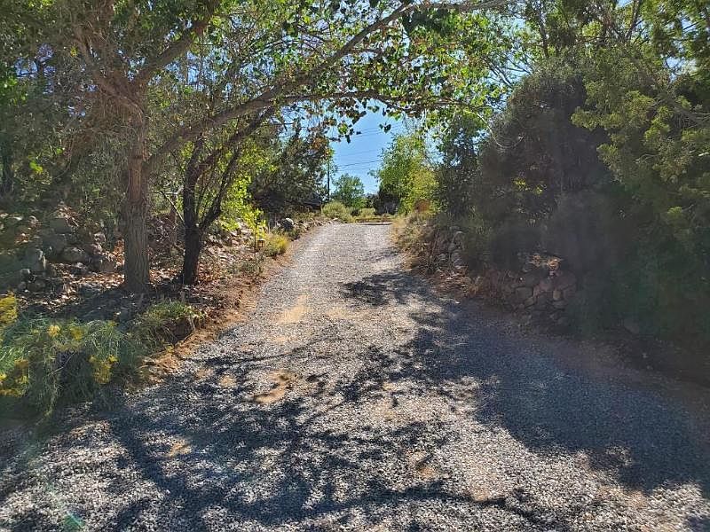 Driveway Summer