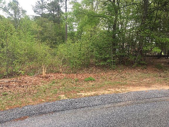 5th image of 50 Spanish Moss Cir