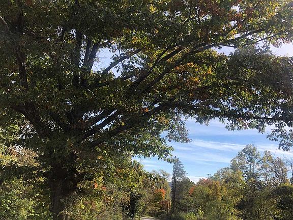 4th image of 1200 Old Stoney Creek Rd