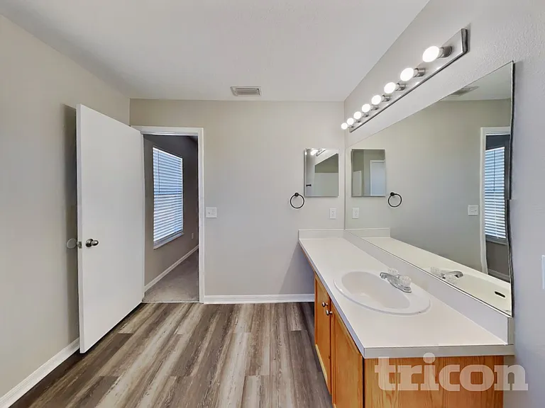 10908 Golden Silence Dr — Photo 10