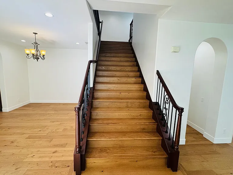 3273 Canopy Dr — Photo 21