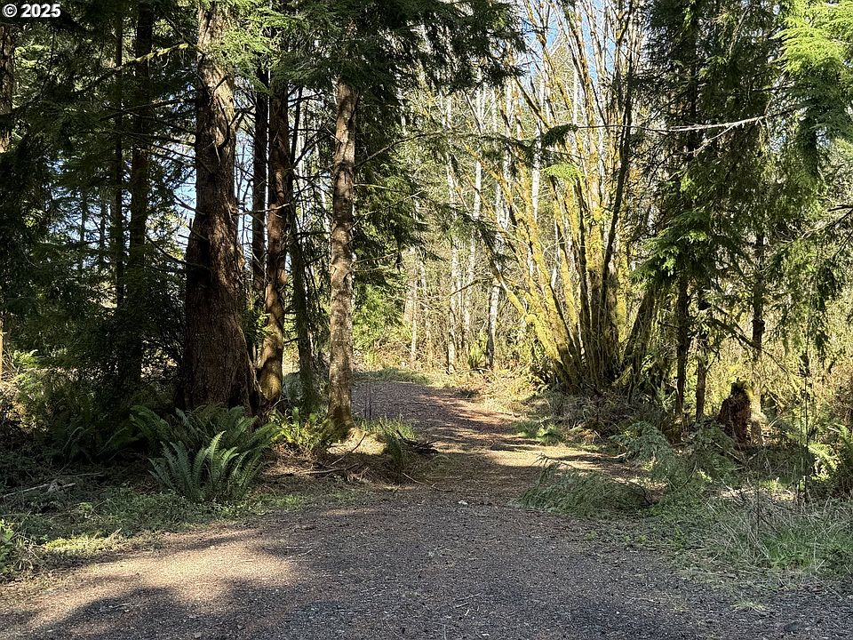 1st image of Fiddle Back Rd Lot 8