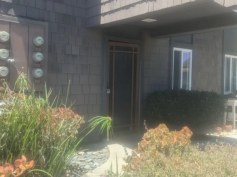 Sea Chase (Acacia Avenue) — Photo 20