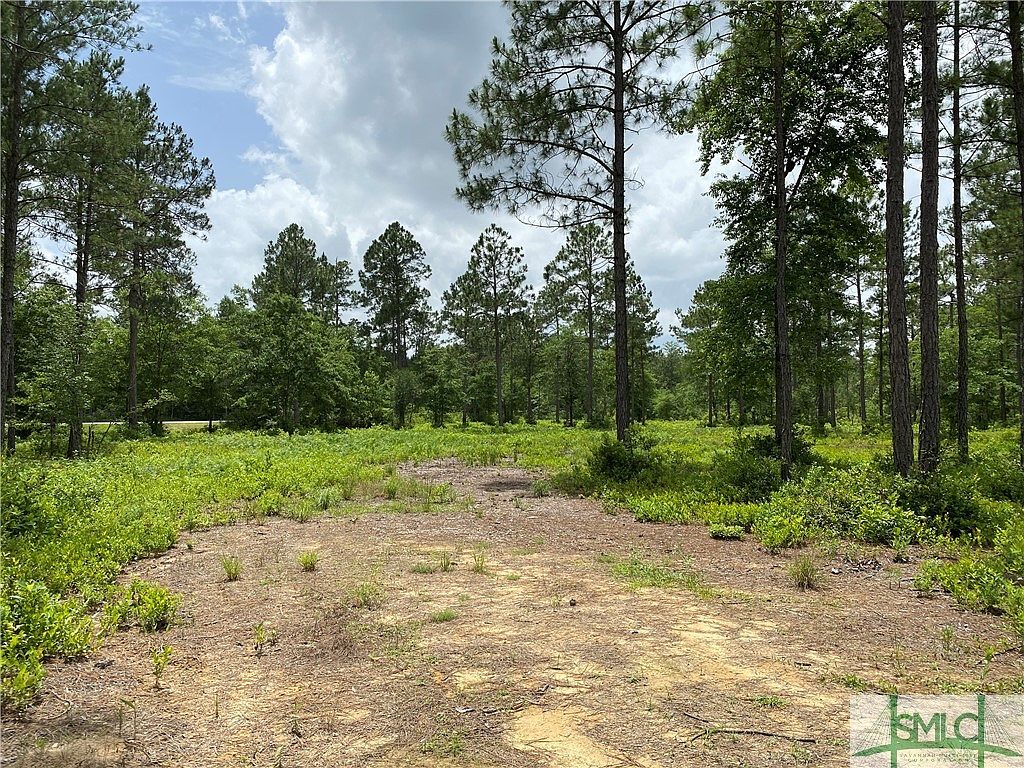 1101 Old Dixie Hwy S, Newington, GA 30446 Zillow