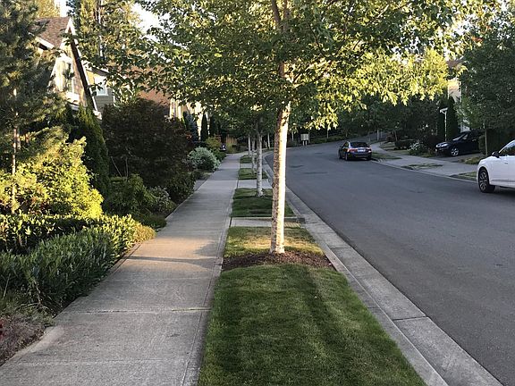 Cal and well kept strets with no HOA fees