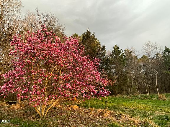 4th image of 4045 Joe Hamme Rd