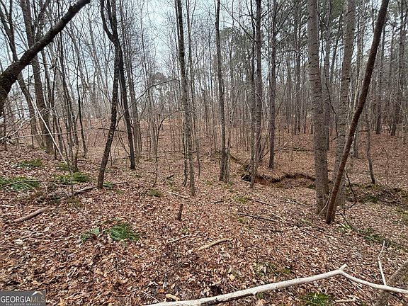 2nd image of 0 Oconee Rd Lot 1