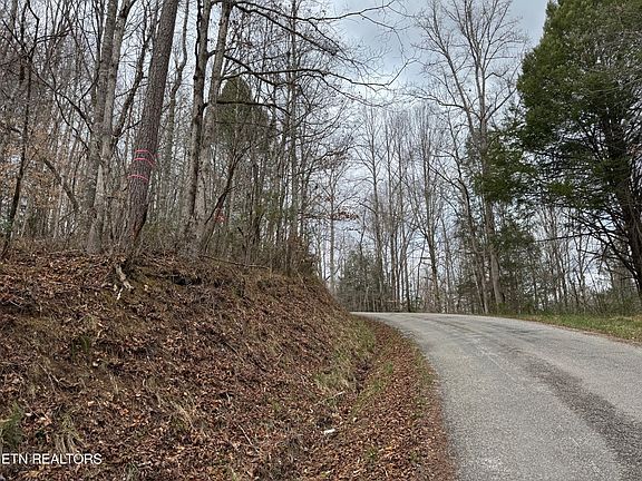 3rd image of Honey Creek Loop Rd