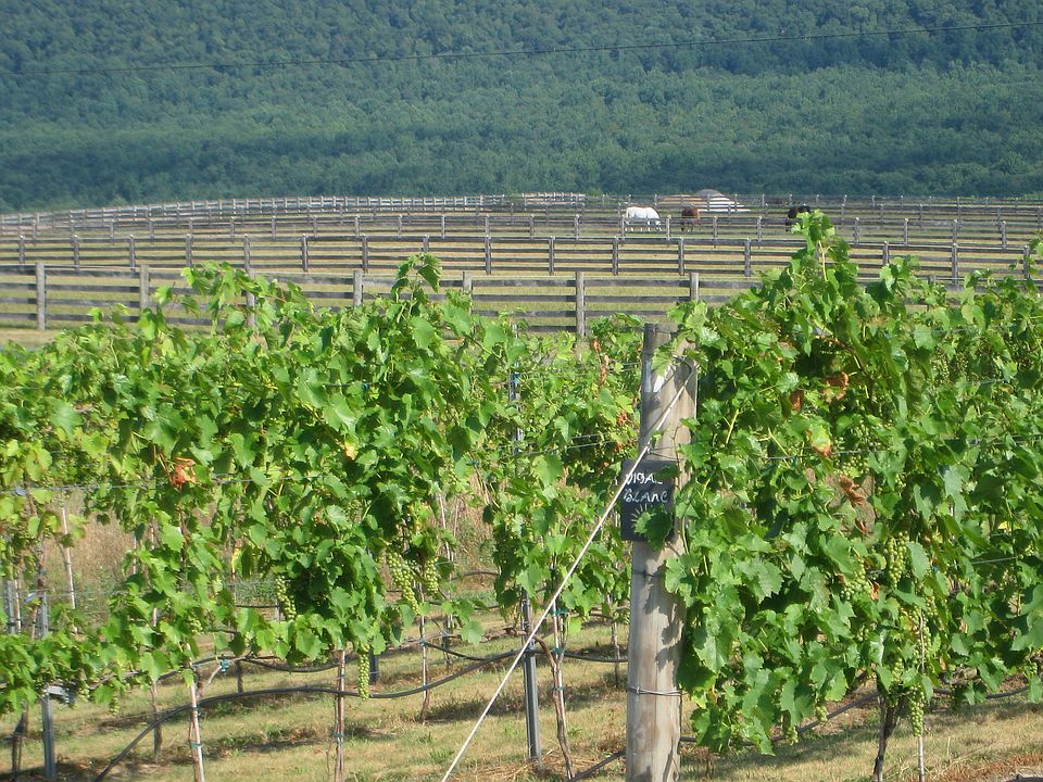 1st image of 8786 Utt Road