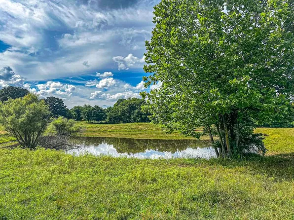 24 M/L Acres Holly Road, Neosho, MO 64850