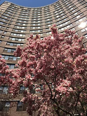 Sold by Owner | media 18