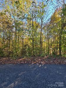 0 Brave Ave #98 & 97, Maiden, NC, 28650