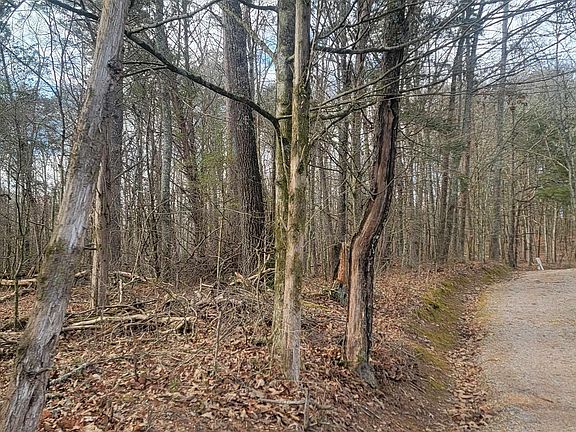 2nd image of 311 County Road 276