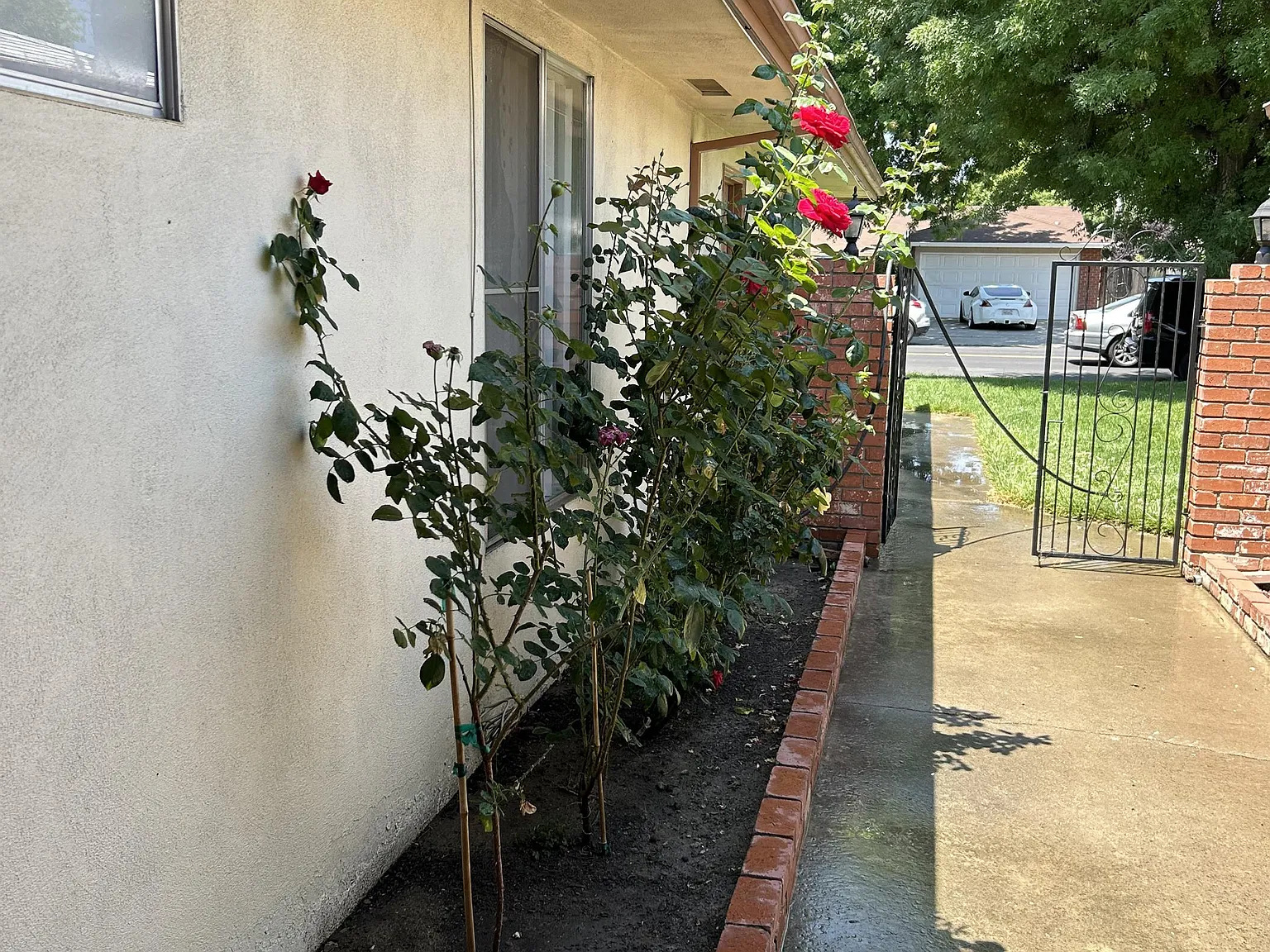 2016 Rose Avenue - 1 — Photo 1