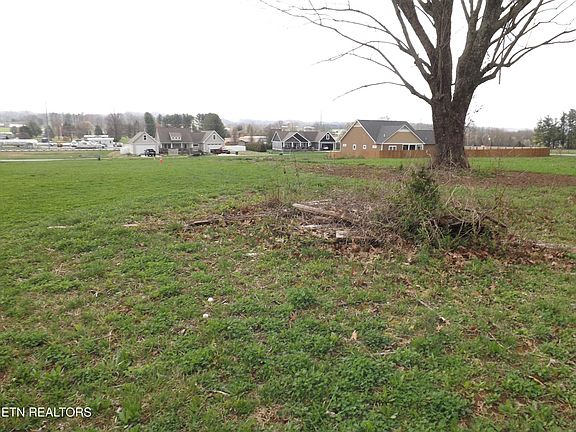 4th image of 132 Auggie Belle Ln