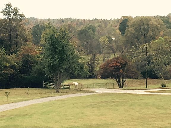 View from front porch