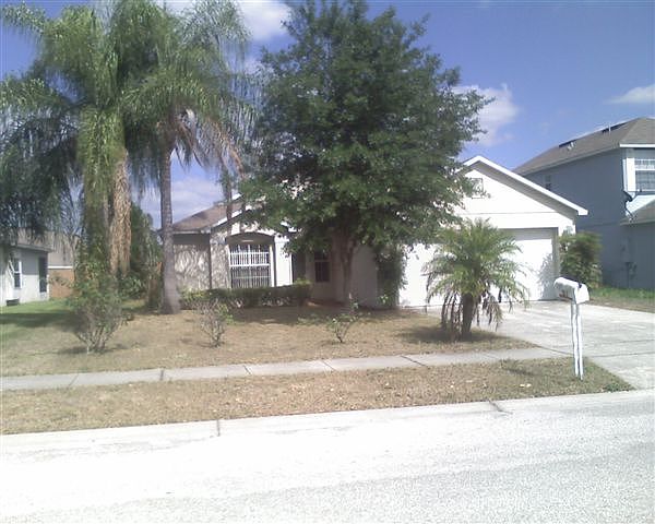 91 pine forest - front