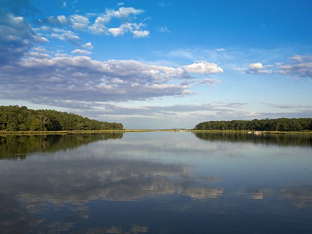 Views Of Richmond Creek