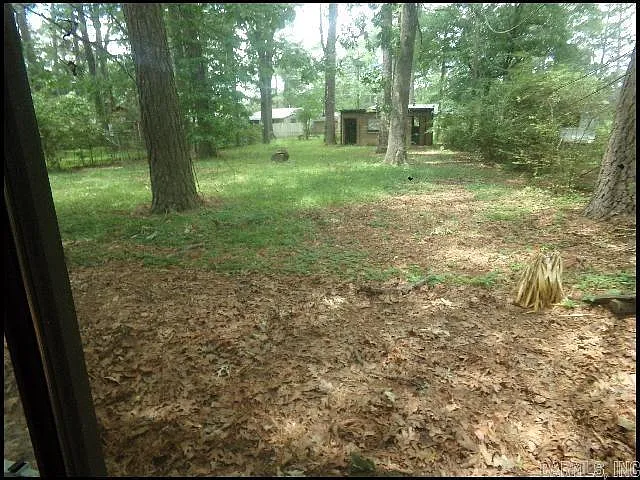 6904 Dahlia Dr — Photo 12
