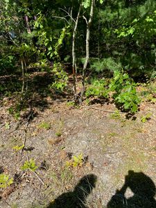 17 Middle Road, Kennebunk, ME, 04043