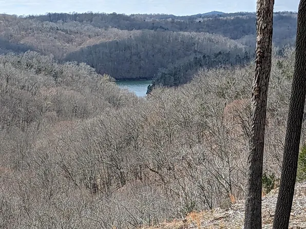 3 Chestnut Hills Rd, Burkesville, KY 42717