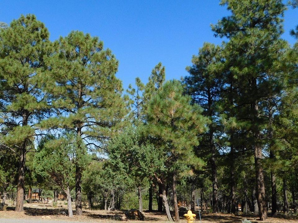 1st image of 2683 Arapaho Dr