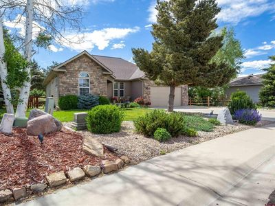 3704 Buffalo Lane, Montrose, CO, 81403