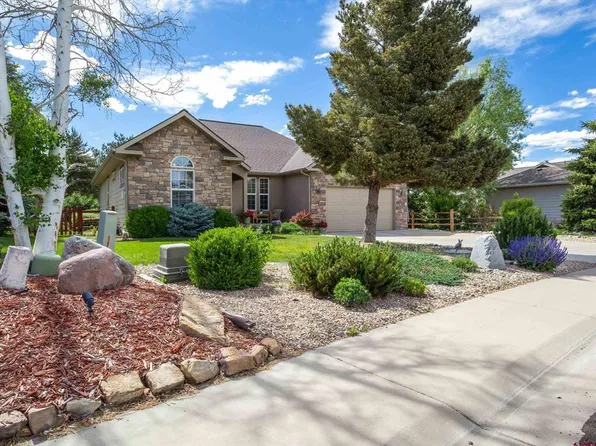 3704 Buffalo Lane, Montrose, CO 81403